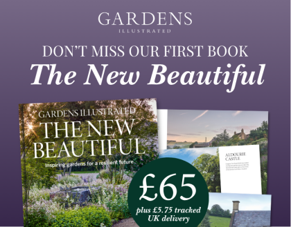 GI Book Launch - Home page banner - 1296x319px WITH PRICE